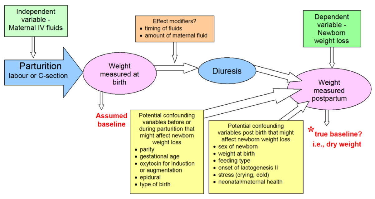 interpreting newborn weight loss